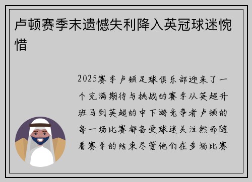 卢顿赛季末遗憾失利降入英冠球迷惋惜