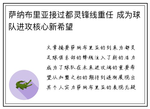 萨纳布里亚接过都灵锋线重任 成为球队进攻核心新希望